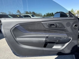 Ford Mustang Dark Horse Fastback 2025