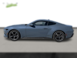 Ford Mustang EcoBoost Fastback 2025