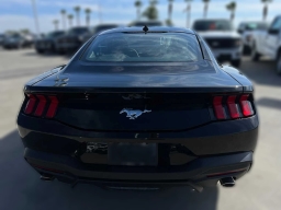 Ford Mustang EcoBoost Fastback 2026