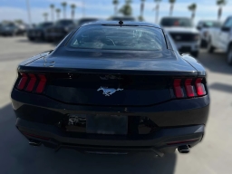 Ford Mustang EcoBoost Fastback 2026