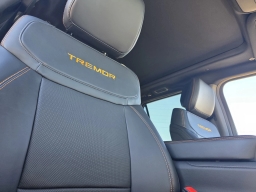 Ford Expedition Tremor 4x4 2026