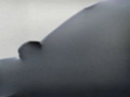 Ford Explorer Active w/200A Pkg 4WD 2026