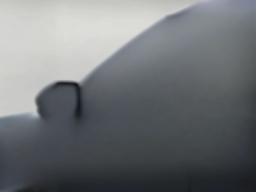 Ford Explorer Active w/200A Pkg 4WD 2026