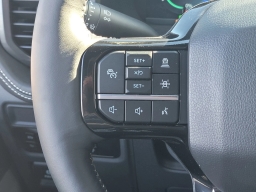 Ford F-150 Lightning Platinum 4WD SuperCrew 5.5' Box 2025