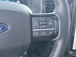 Ford F-150 Lightning Platinum 4WD SuperCrew 5.5' Box 2025