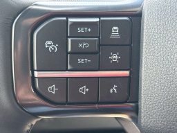 Ford Super Duty F-250 SRW Platinum 4WD Crew Cab 6.75' Box 2025