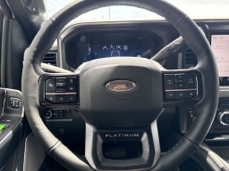 Ford Super Duty F-250 SRW Platinum 4WD Crew Cab 6.75' Box 2025