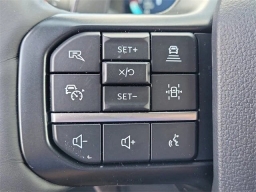 Ford F-150 Raptor 4WD SuperCrew 5.5' Box 2025