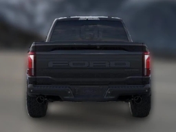 Ford F-150 Raptor 4WD SuperCrew 5.5' Box 2025