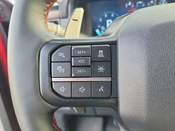 Ford F-150 Raptor 4WD SuperCrew 5.5' Box 2025