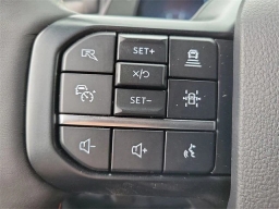 Ford F-150 Raptor 4WD SuperCrew 5.5' Box 2025