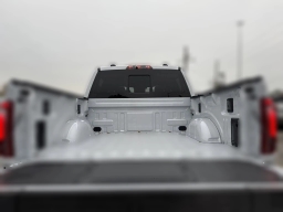 Ford F-150 Raptor 4WD SuperCrew 5.5' Box 2025