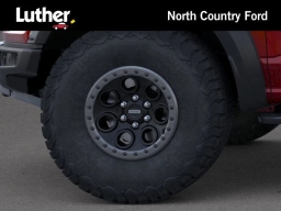 Ford F-150 Raptor 4WD SuperCrew 5.5' Box 2025