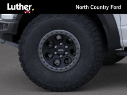 Ford F-150 Raptor 4WD SuperCrew 5.5' Box 2025