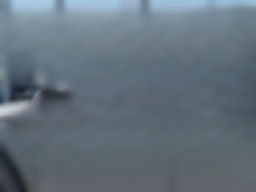 Ford F-150 Raptor 4WD SuperCrew 5.5' Box 2026