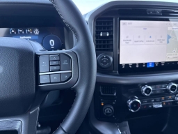 Ford F-150 XLT 4WD SuperCrew 5.5' Box 2025