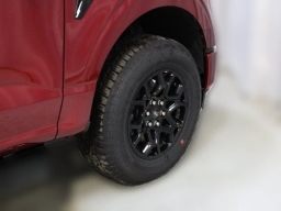 Ford F-150 XLT 4WD SuperCrew 5.5' Box 2026