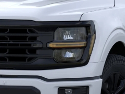 Ford F-150 XLT 4WD SuperCrew 6.5' Box 2026
