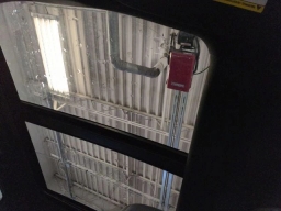 Ford F-150 XLT 4WD SuperCrew 5.5' Box 2025