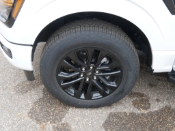 Ford F-150 XLT 4WD SuperCrew 5.5' Box 2025