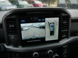 Ford F-150 XLT 4WD SuperCrew 5.5' Box 2025