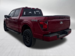 Ford F-150 XLT 4WD SuperCrew 5.5' Box 2025