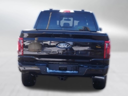 Ford F-150 XLT 4WD SuperCrew 5.5' Box 2025