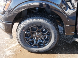 Ford F-150 XLT 4WD SuperCrew 5.5' Box 2025