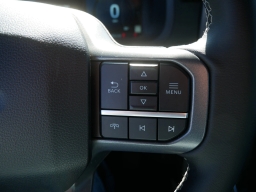 Ford F-150 XLT 4WD SuperCrew 5.5' Box 2025