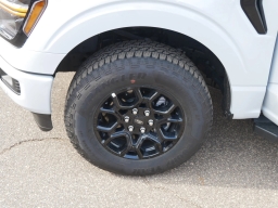 Ford F-150 XLT 4WD SuperCrew 5.5' Box 2025