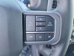 Ford F-150 XLT 4WD SuperCrew 5.5' Box 2025