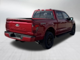 Ford F-150 XLT 4WD SuperCrew 5.5' Box 2025
