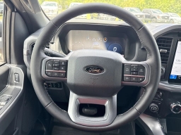 Ford F-150 XLT 4WD SuperCrew 5.5' Box 2025