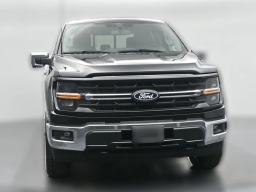 Ford F-150 XLT 4WD SuperCrew 5.5' Box 2025