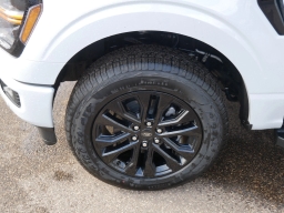 Ford F-150 XLT 4WD SuperCrew 5.5' Box 2025