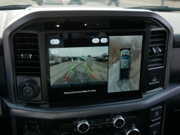 Ford F-150 XLT 4WD SuperCrew 5.5' Box 2025