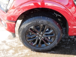 Ford F-150 XLT 4WD SuperCrew 5.5' Box 2025