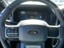 Ford F-150 XLT 4WD SuperCrew 5.5' Box 2025