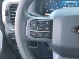 Ford F-150 XLT 4WD SuperCrew 5.5' Box 2025