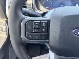 Ford F-150 LARIAT 4WD SuperCrew 5.5' Box 2025