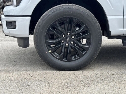 Ford F-150 LARIAT 4WD SuperCrew 5.5' Box 2025