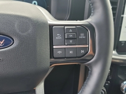 Ford F-150 Platinum 4WD SuperCrew 5.5' Box 2025