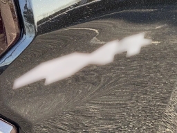 Chevrolet Colorado 4WD Work Truck Crew Cab 2026