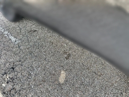 GMC Acadia FWD Elevation 4dr 2026