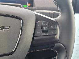 Ford Mustang Mach-E GT AWD 2025