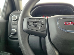 GMC Sierra 1500 Pro 4WD Reg Cab 140" 2025