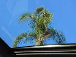 BMW 3 Series 330i NA Sedan 2026