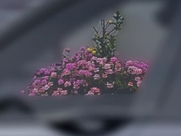 Lincoln Nautilus Reserve AWD 2026