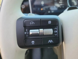 Hyundai Santa Fe Calligraphy FWD 2024