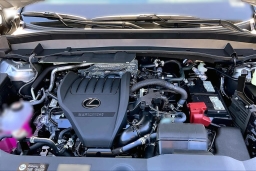 Lexus TX TX 350 Premium AWD 2026